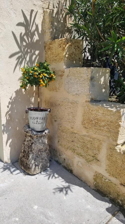 Chambre Saint Emilion - Le Clos D'Antan Les Artigues-de-Lussac Zewnętrze zdjęcie